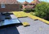 Wallbarn’s M-Tray modular green roof during installation on a domestic flat roofed home extension