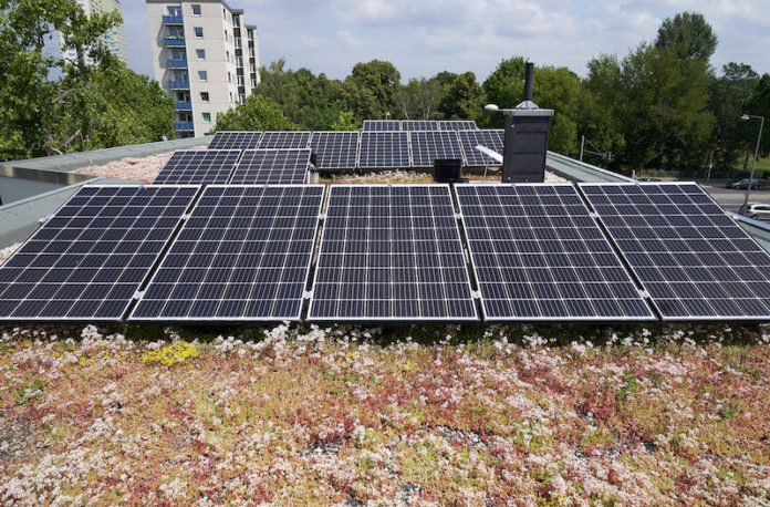 The Optigrün Solar FKD solution is suitable for use as part of an extensive sedum or wildflower planted specification