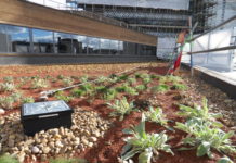 An extensive green roof finish for promoting a new ecosystem