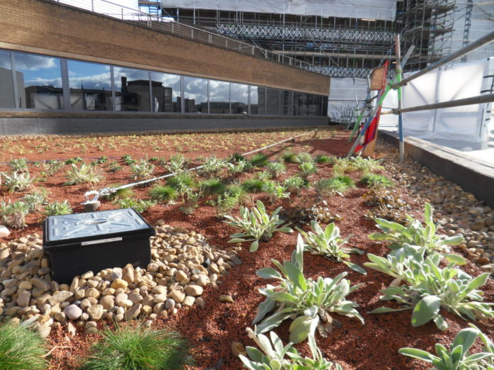 An extensive green roof finish for promoting a new ecosystem
