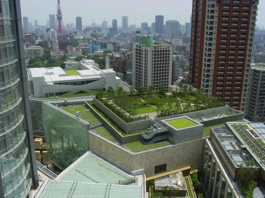 World Green Roof Day paves way for innovation | Roofing Cladding &  Insulation Magazine (RCI)