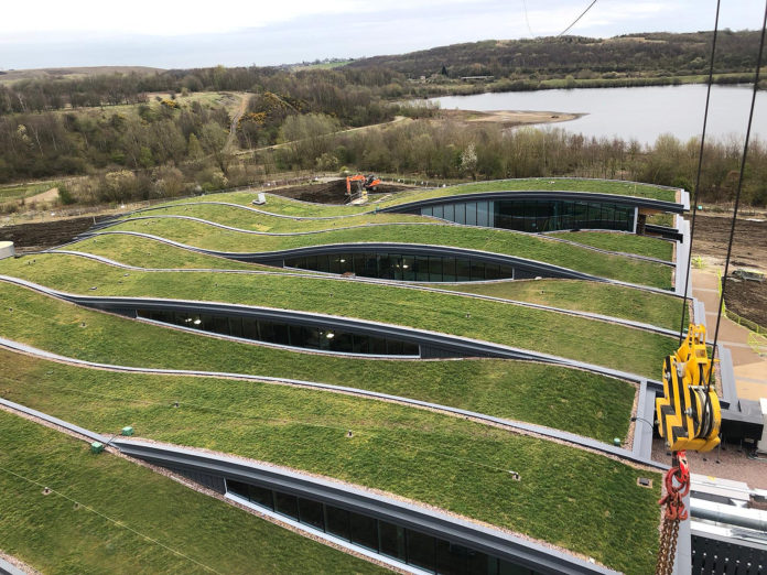 The underlying structure for the extensive wildflower meadow roof is constructed from a series of interconnected glulam beams, manufactured by fixing timber boards together and forming them into the curved sections.